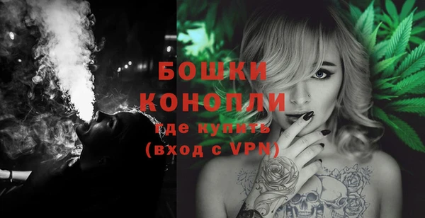 дурь Дегтярск