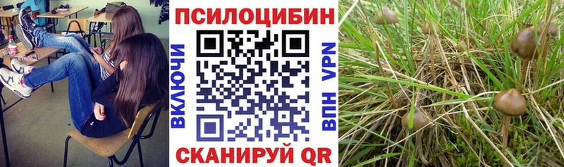 Галлюциногенные грибы MAGIC MUSHROOMS Анапа