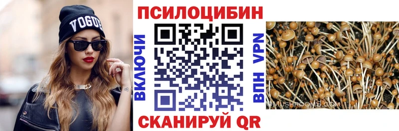 Галлюциногенные грибы Psilocybine cubensis  Анапа 