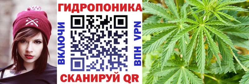 закладки  Анапа  OMG ссылки  Конопля LSD WEED 